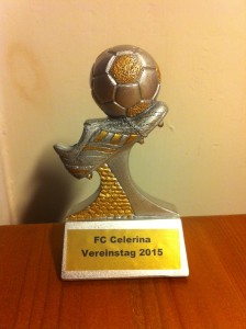 Vereinstag 2015 1.jpg