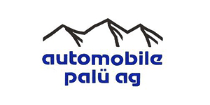 Automobile Palü